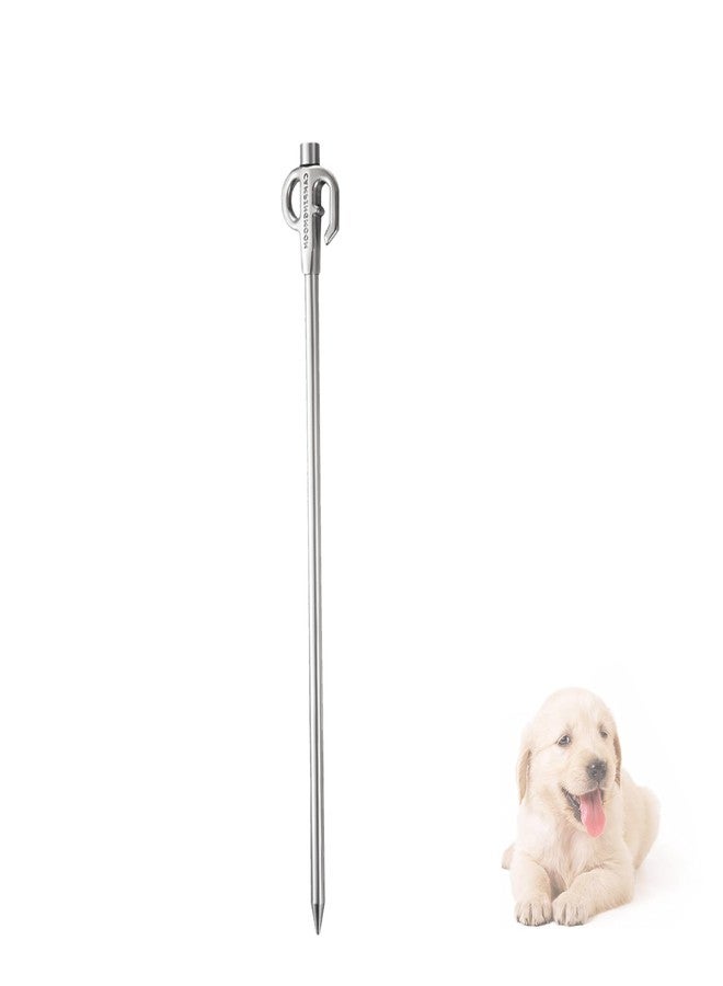 camping moon CAMPINGMOON 11.8-inch Dog Tie Out Stake Stainless Steel for Small Pets Outdoors K45-30 - Image 1