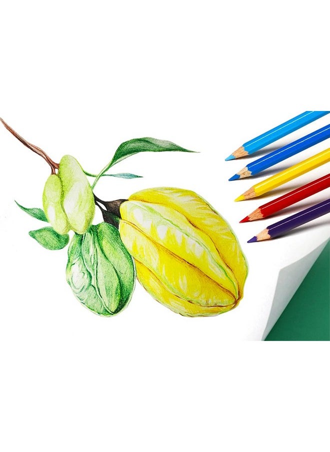SKKSTATIONERY 144Pcs Colored Pencils, Pre-Sharpened, Coloring Pencils For Adults Kids Bulk School Supplies For Teachers 12 Colors, 12Pcs/Box, Total: 144Pcs.  - Image 3