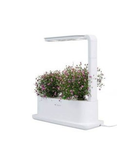 Intelligent Plant Desktop Grow Box Indoor Garden Kit