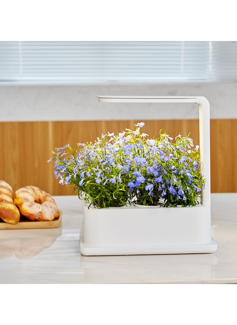 Generic - Intelligent Plant Desktop Grow Box Indoor Garden Kit - Image 1