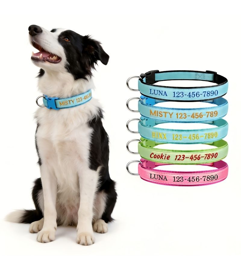 Teal Luminous Dog Collar Upgraded Personalized Anti Lost Padded Fit XS Size - Image 1