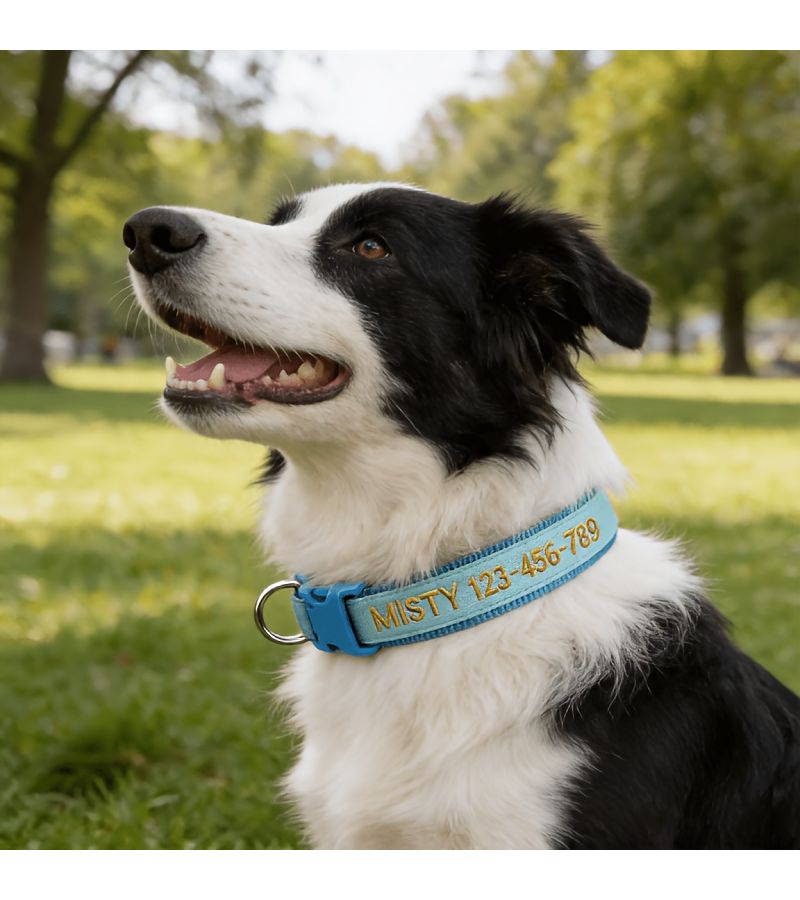 Teal Luminous Dog Collar Upgraded Personalized Anti Lost Padded Fit XS Size - Image 5
