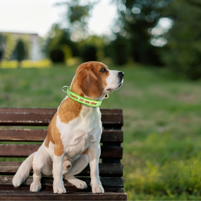 Teal Luminous Dog Collar Upgraded Personalized Anti Lost Padded Fit XS Size - Image 4