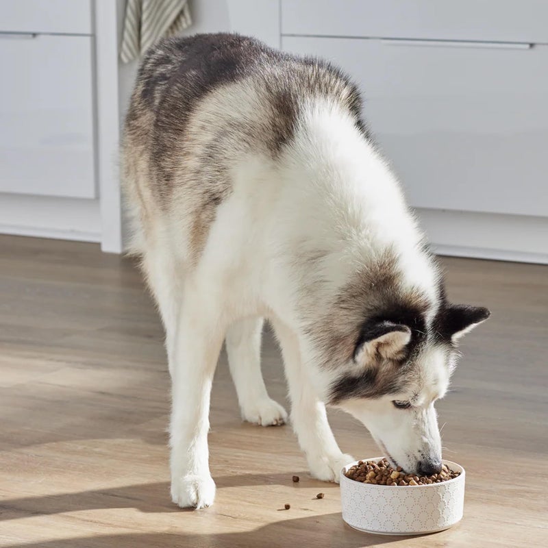 Open Farm, RawMix Dry Dog Food with Ancient Grains, Protein-Packed Kibble Coated in Bone Broth with Freeze Dried Raw Chunks, Salmon Whitefish & Rockfish,Wild Ocean Recipe, 3.5lb Bag - Image 4