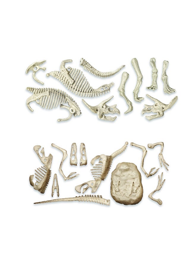 Clementoni Triceratops and Velociraptor Dig Kit | STEM Toys | Science Toys | Educational & Learning Toy | Gift for Kids and Science Lover - Image 3