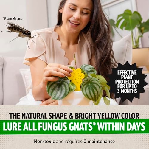 Super Ninja Fungus Gnat & Fruit Fly Traps - 10 Gnat Sticky Traps for Plants & 2 Highly Effective Fruit Fly Catchers for Indoors, Kid & Pet Friendly, Ready to Use, Up to 3 Months of Performance - Image 4