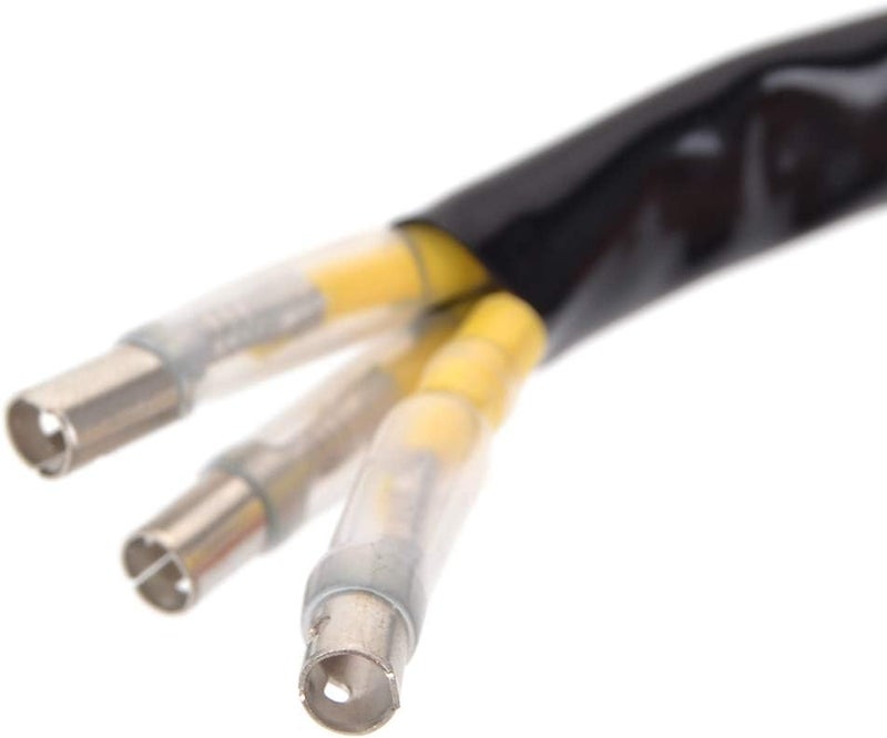 Wivplex Motorcycle Ignition Coil for Various Models - Image 3