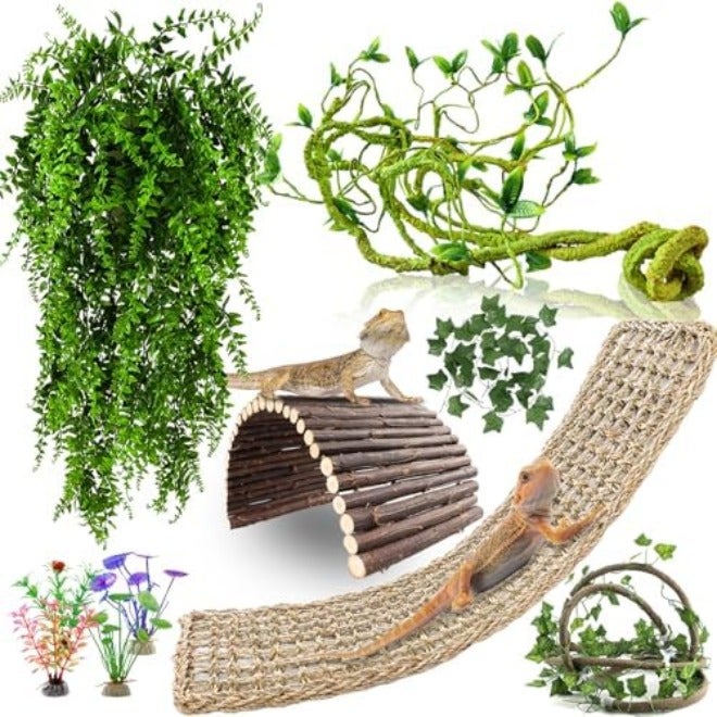 RUNANIA 10Pcs Bearded Dragon Tank Accessories, Reptile Hammock Plants Bridge Jungle Climber Vines for Snakes Bearded Dragon Chameleon Gecko  Lizard - Image 3