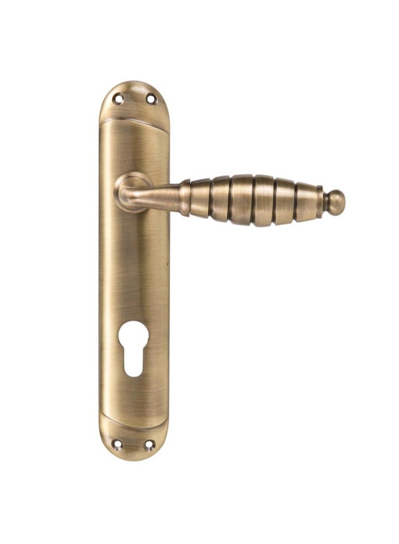 ACE Antique Door Handle Brass