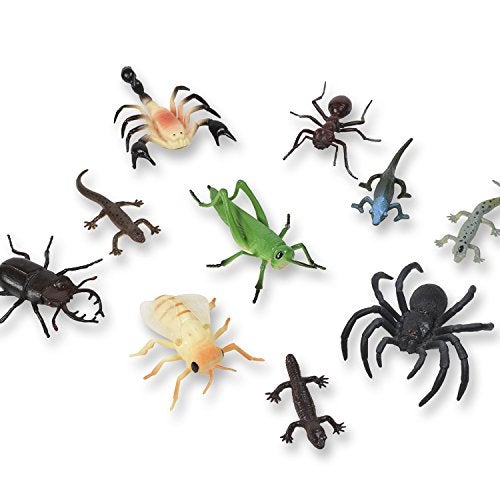 Nature Bound Toys Bugs & Critters Boxed Set with Toy Insect & Animal Figurines (10 Piece), Large - Image 5