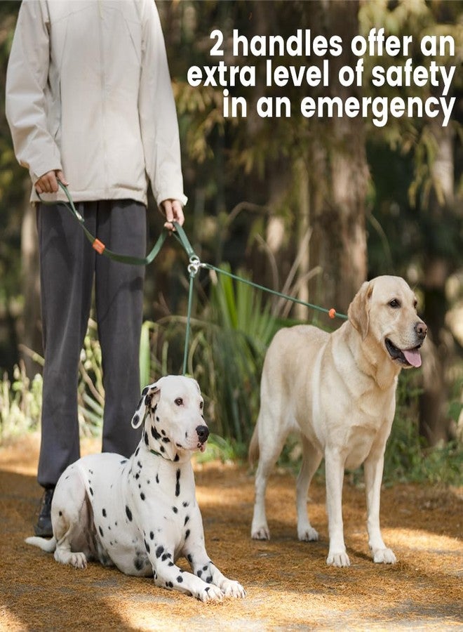 Howgo Double Slip Leash Slip Lead with Two Handles| Dual Dog Slip Lead for 2 Dogs,360° Swivel No Tangle | Dog Training Collar | Double Clip Leash Coupler and Splitter (MintGreen, 6FT) - Image 2