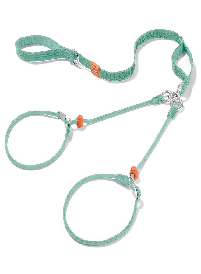 Howgo Double Slip Leash Slip Lead with Two Handles| Dual Dog Slip Lead for 2 Dogs,360° Swivel No Tangle | Dog Training Collar | Double Clip Leash Coupler and Splitter (MintGreen, 6FT) - Image 1