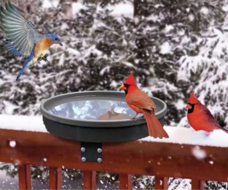 Songbird Essentials Songbird Spa Heated Birdbath - Image 1