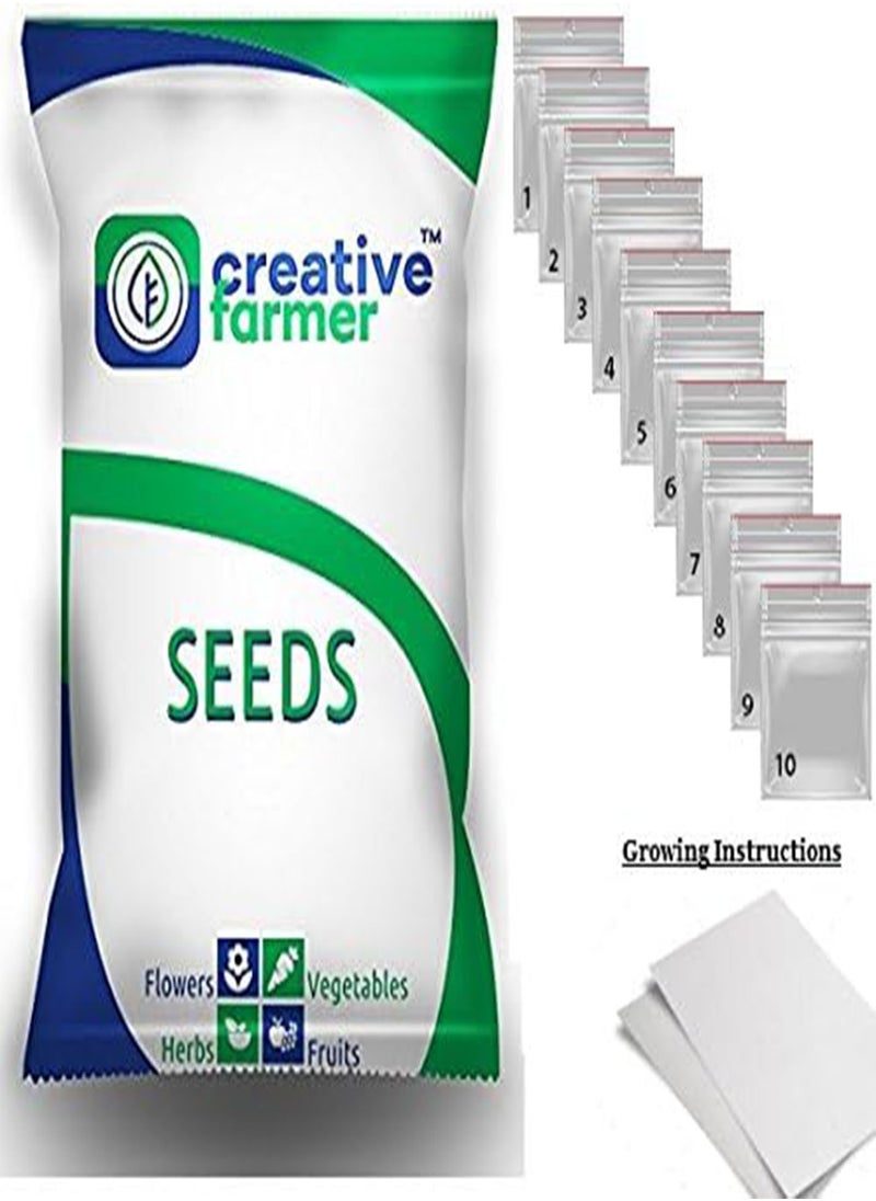 GGOOT - Flower Seeds : Nasturtium Indian Cress Seeds Climber Flower Seeds Plant Seeds Pack Hanging Baskets Plants  for Garden Pots (1 Packets) Garden Plant Seeds - Image 1