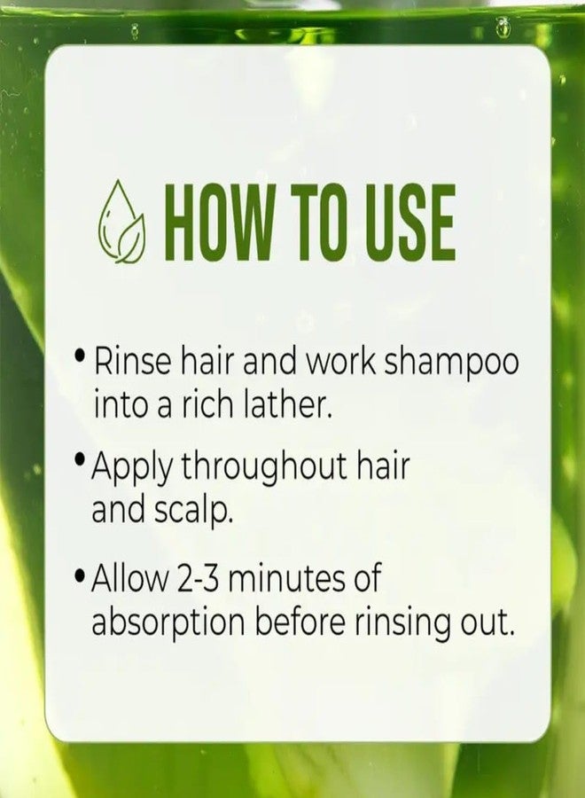 REVINTO KUMARI Naturals Pure Aloe Vera Shampoo | Zero Chemicals Soft, Smooth & Volumized Hair | Sulphate and Paraben free | Shampoo For Men & Women, 100 mL - Image 3