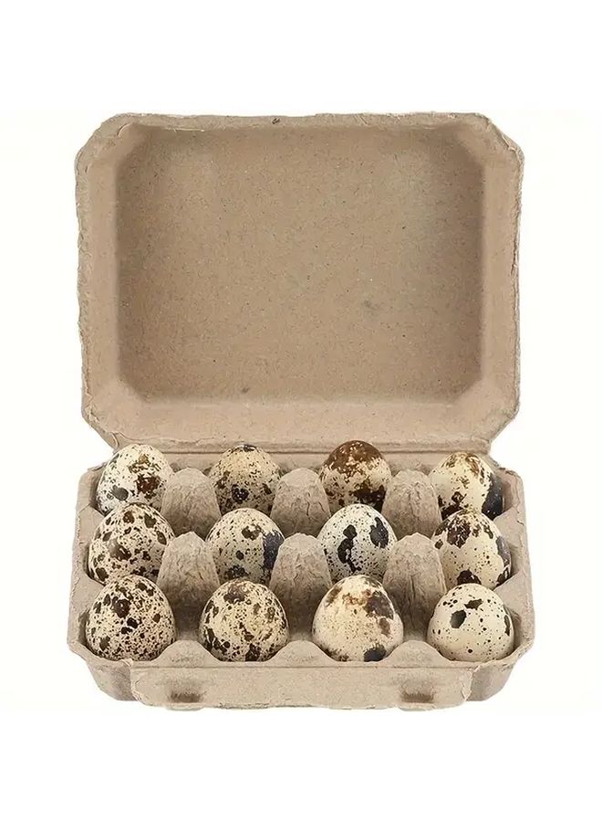26pcs Natural Paper Quail Egg Cartons Reusable 12 Egg Storage Trays For Refrigerator - Image 3