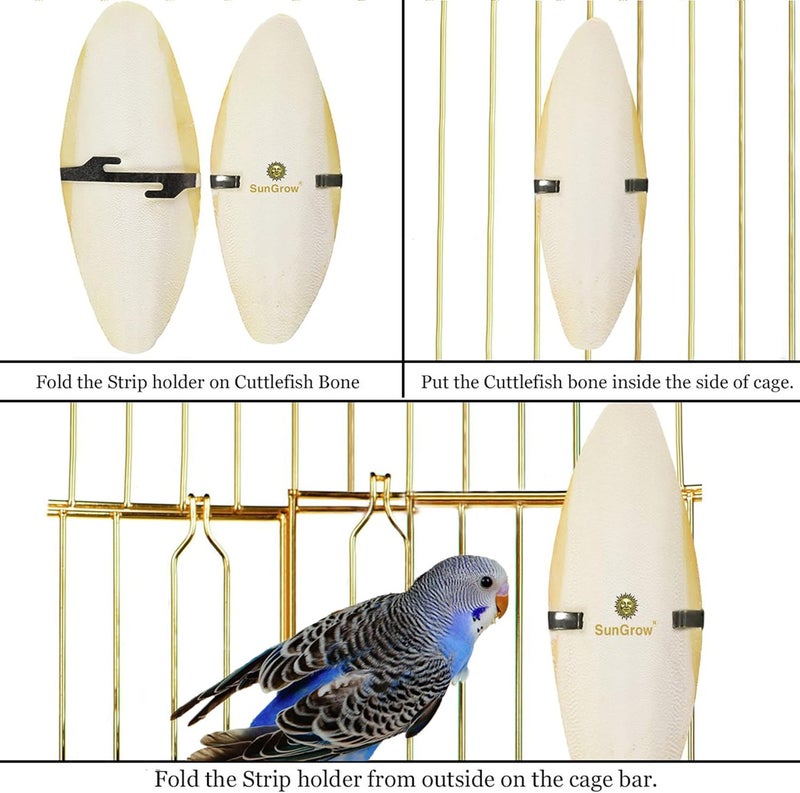SunGrow 4 Pack Large 6 inch Cuttlefish Bones for Cockatiels, Turtles, Shrimp, Dog Calcium Supplement, Cuttlebone Cage Holder Included - Image 5