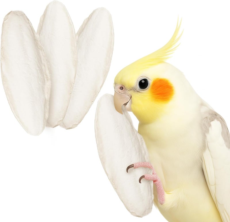 SunGrow 4 Pack Large 6 inch Cuttlefish Bones for Cockatiels, Turtles, Shrimp, Dog Calcium Supplement, Cuttlebone Cage Holder Included - Image 2
