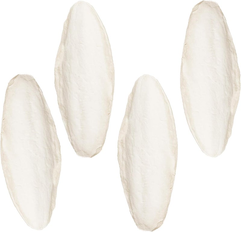 SunGrow 4 Pack Large 6 inch Cuttlefish Bones for Cockatiels, Turtles, Shrimp, Dog Calcium Supplement, Cuttlebone Cage Holder Included - Image 1