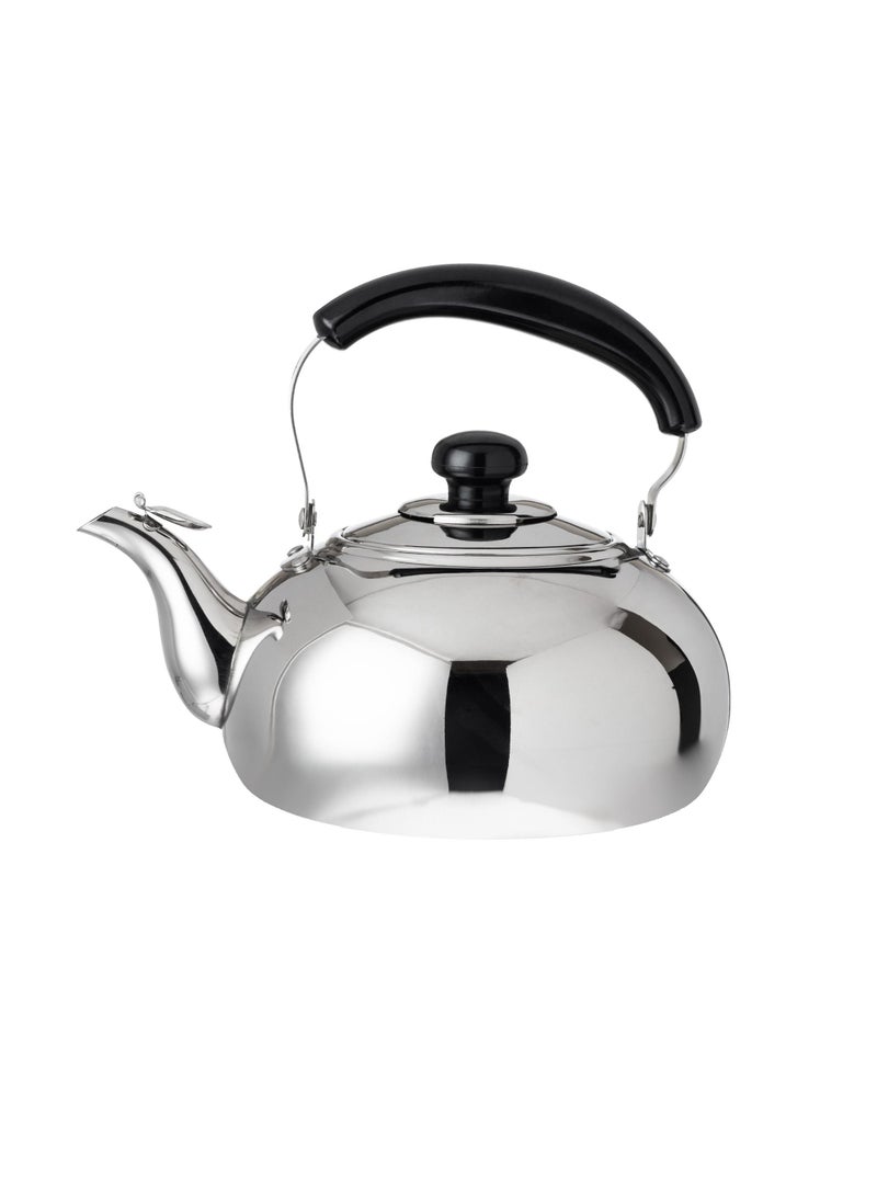 Potobelo Stainless Steel Teapot With Handle - Image 1
