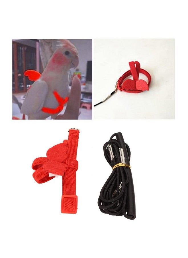Zerodis Zerodis Pet Bird Harness Leash, Lightweight Bird Flying Harness Anti Bite Bird Harness Leash for Parrots Pigeons Lovebird Red  - Image 2