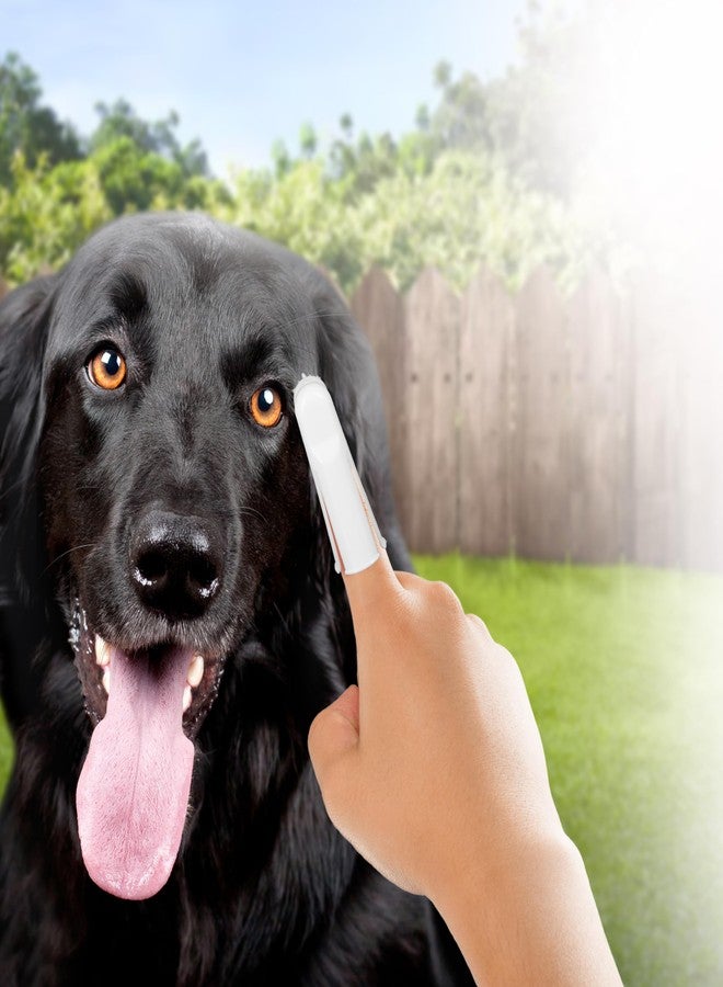 Groomer Essentials Finger Toothbrushes - 50 Count - Image 3