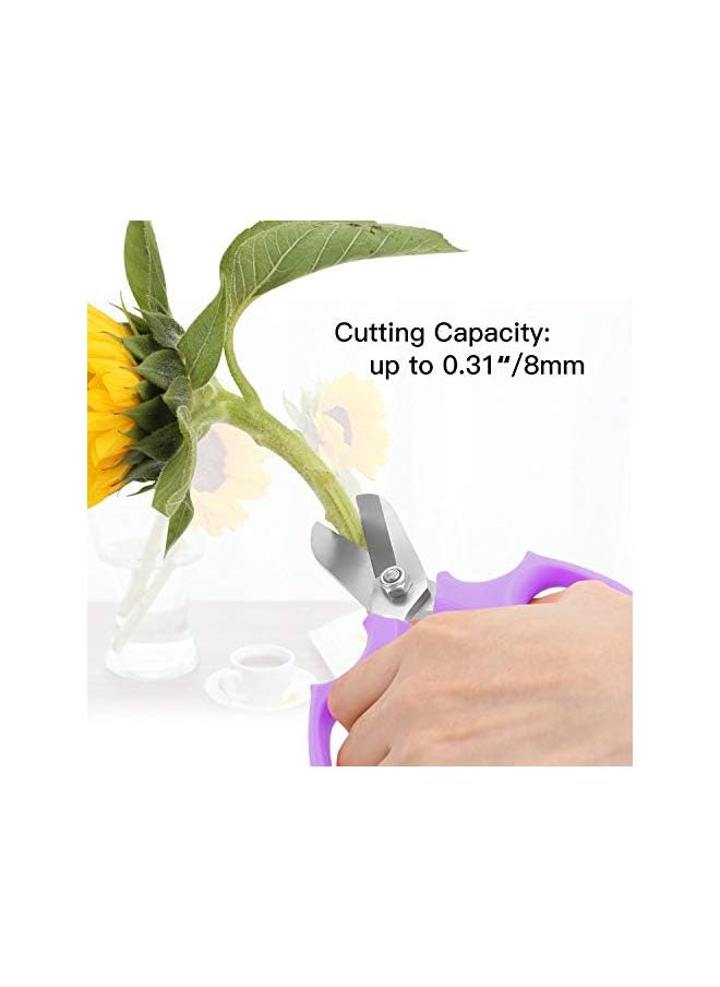 promass Floral Shears, Premium Steel Garden Pruning Shears Floral Fruits Leaf Scissors Hand Pruner Snip Trimming Tool for Gardening Flower Arrangement, Purple - pzsku/Z69DF1546D0DEB0F9E560Z/45/_/1739549873/ed3f1252-d1c9-42c9-a383-b6724019bc55