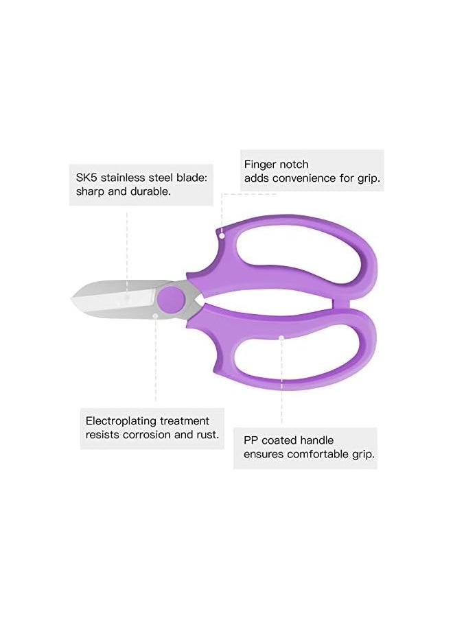 promass Floral Shears, Premium Steel Garden Pruning Shears Floral Fruits Leaf Scissors Hand Pruner Snip Trimming Tool for Gardening Flower Arrangement, Purple - pzsku/Z69DF1546D0DEB0F9E560Z/45/_/1739549874/555046d5-f829-4405-87db-738ba9d81edb