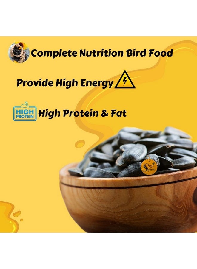 Sage Square Sunflower Seeds Birds Food For Grey Parrot | Premium All Life Stages Bird Food For Indian Parrots, Macaw, Cockatoo, Exotic Birds Ingredients, Nutrient-Rich | 350G  - Image 3