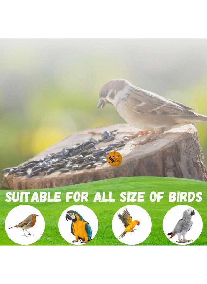 Sage Square Sunflower Seeds Birds Food For Grey Parrot | Premium All Life Stages Bird Food For Indian Parrots, Macaw, Cockatoo, Exotic Birds Ingredients, Nutrient-Rich | 350G  - Image 5