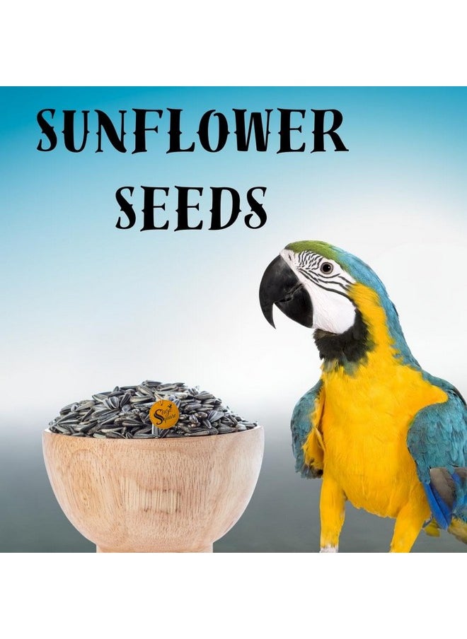 Sage Square Sunflower Seeds Birds Food For Grey Parrot | Premium All Life Stages Bird Food For Indian Parrots, Macaw, Cockatoo, Exotic Birds Ingredients, Nutrient-Rich | 350G  - Image 2