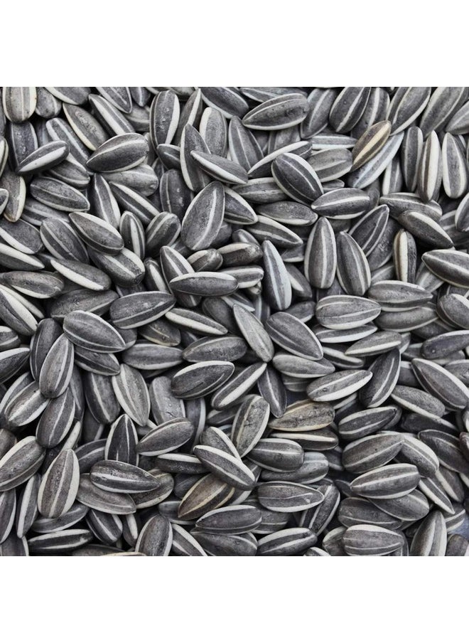 Sage Square Sunflower Seeds Birds Food For Grey Parrot | Premium All Life Stages Bird Food For Indian Parrots, Macaw, Cockatoo, Exotic Birds Ingredients, Nutrient-Rich | 350G  - Image 1