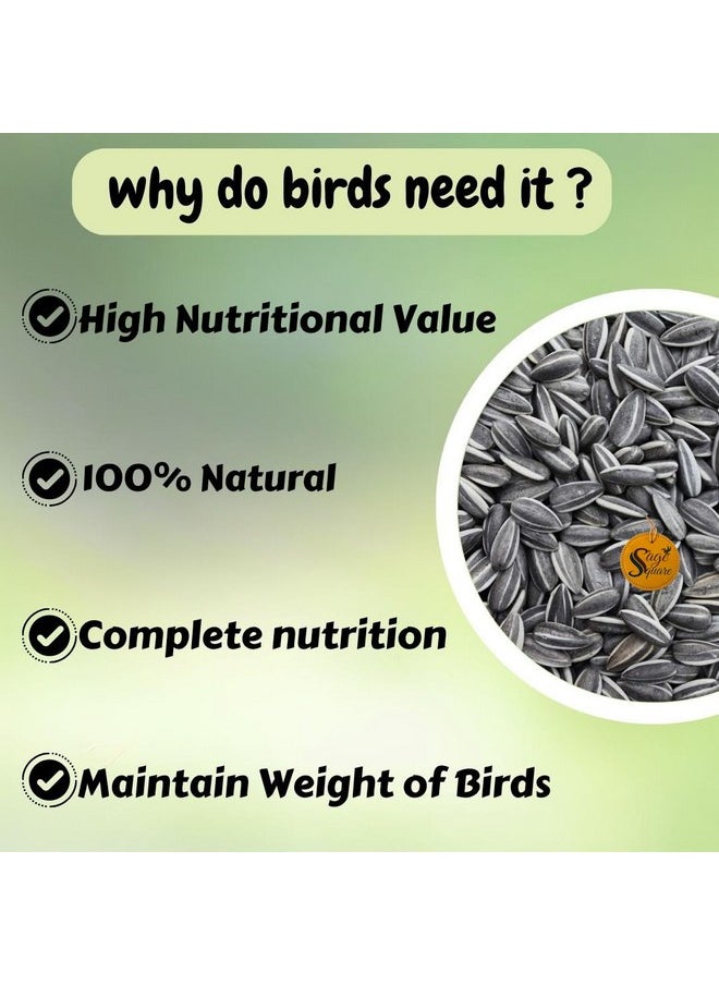 Sage Square Sunflower Seeds Birds Food For Grey Parrot | Premium All Life Stages Bird Food For Indian Parrots, Macaw, Cockatoo, Exotic Birds Ingredients, Nutrient-Rich | 350G  - Image 4