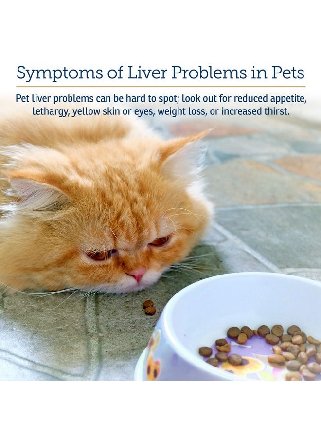 Rx Vitamins Rx Vitamins Liquid Hepato Support for Dogs & Cats - Liver Support Supplement with Milk Thistle for Dogs (Silymarin & Silybinin) and Vitamin B - Bacon Flavor (4oz)  - Image 4