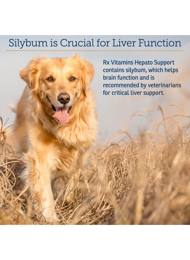 Rx Vitamins Rx Vitamins Liquid Hepato Support for Dogs & Cats - Liver Support Supplement with Milk Thistle for Dogs (Silymarin & Silybinin) and Vitamin B - Bacon Flavor (4oz)  - Image 5