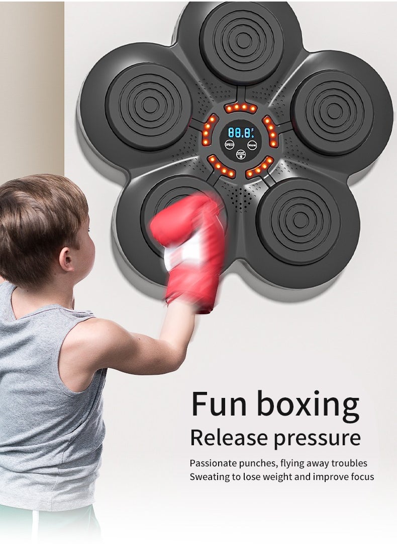 Smart Boxing Wall Target