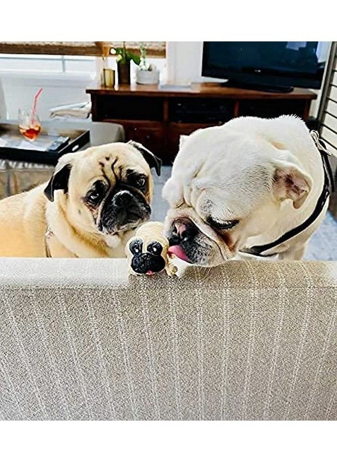 Generic - Squishy Dog Toy Gifts Stress Squishies Pug Sensory Toys Slow Rising Fidget Anxiety Relief Pugs For Adult, Child, Adhd Or Puppies Fans Sturdy And Durable Fidget Toy With Good Sealing - Image 1