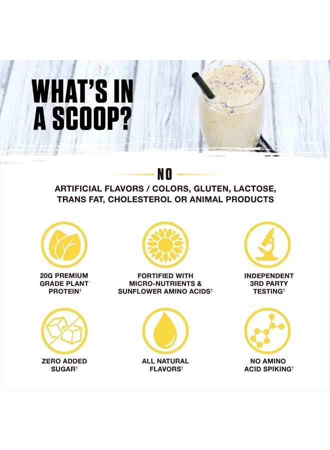 Ambrosia Planta - Premium Organic Plant-Based Protein | Vegan & Keto Friendly | Gourmet Flavors with No Bloating or Stomach Upset | Gluten & Soy Free | No Added Sugar | 14 Servings | (Vanilla) - Image 4