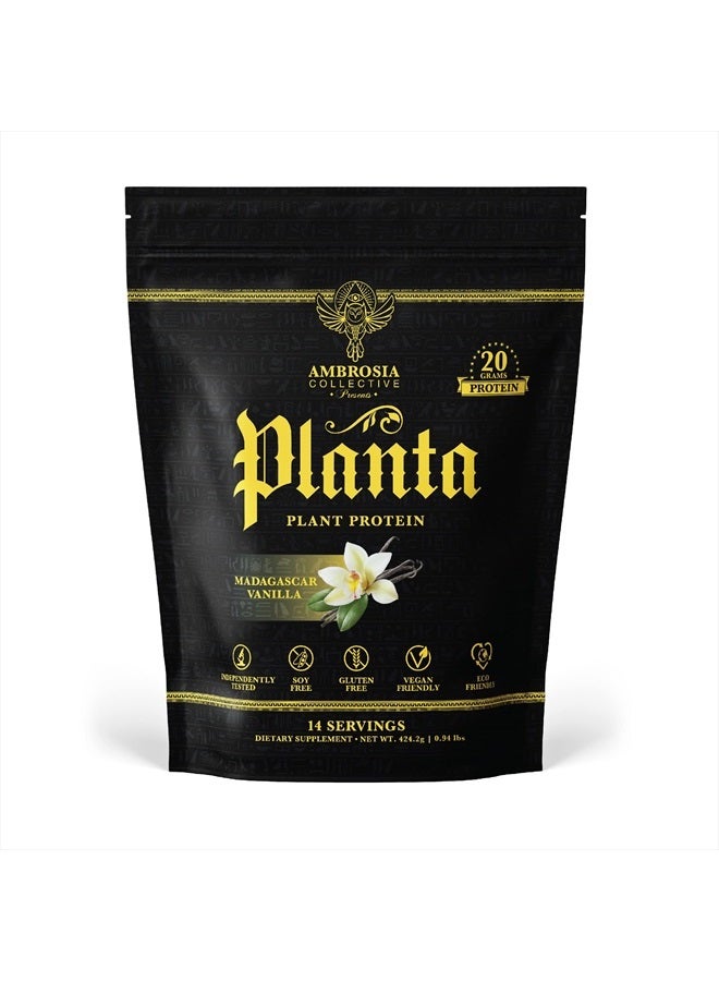 Ambrosia Planta - Premium Organic Plant-Based Protein | Vegan & Keto Friendly | Gourmet Flavors with No Bloating or Stomach Upset | Gluten & Soy Free | No Added Sugar | 14 Servings | (Vanilla) - Image 1