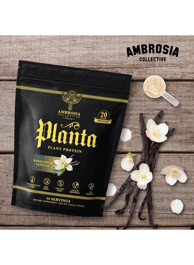Ambrosia Planta - Premium Organic Plant-Based Protein | Vegan & Keto Friendly | Gourmet Flavors with No Bloating or Stomach Upset | Gluten & Soy Free | No Added Sugar | 14 Servings | (Vanilla) - Image 5