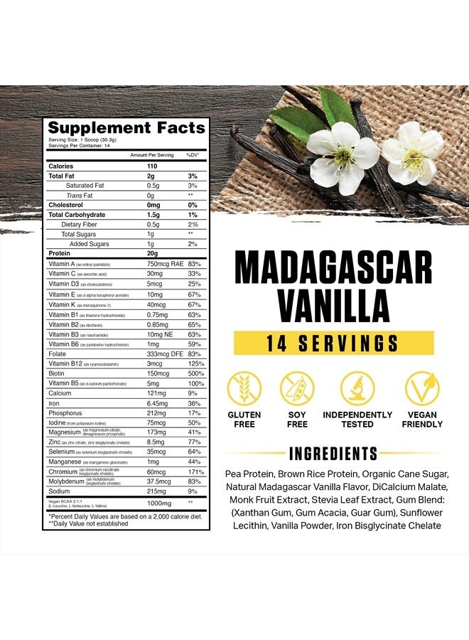 Ambrosia Planta - Premium Organic Plant-Based Protein | Vegan & Keto Friendly | Gourmet Flavors with No Bloating or Stomach Upset | Gluten & Soy Free | No Added Sugar | 14 Servings | (Vanilla) - Image 3