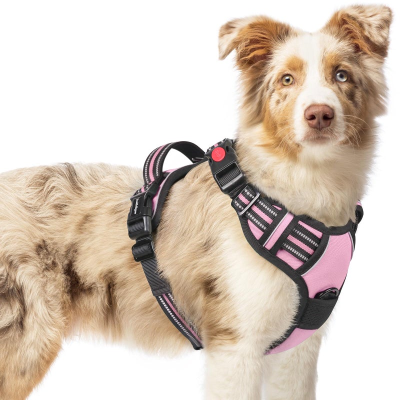 rabbitgoo Dog Harness Medium Sized, No Pull Pet Harness with 3 Buckles, Adjustable Soft Padded Vest with Control Handle, Walking Reflective Pet Vest for Medium Dogs, Pink, M - Image 1
