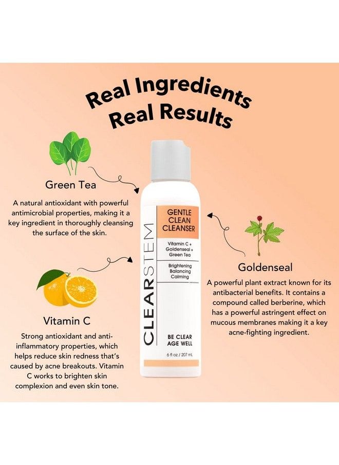 Gentleclean Vitamin Infused Skin Cleanser Makeup & Oil Remover With Vitamin C 6 Ounce - pzsku/Z69EA65C93E27E8B83FDCZ/45/_/1688711376/615c4d7e-337a-45b3-b359-2330715711df