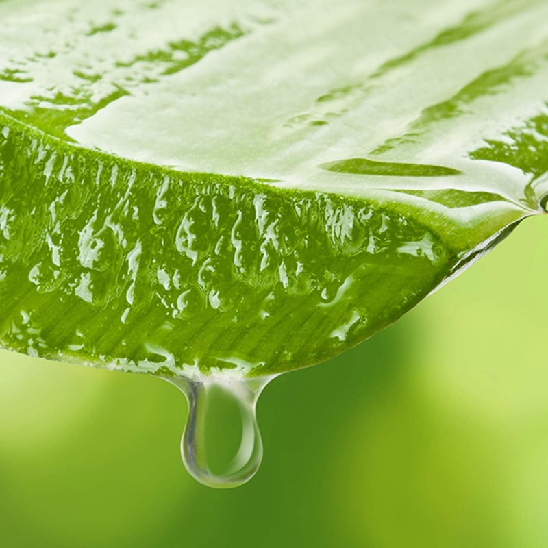 Mylee Pre Care Lotion for Cooling and Cleansing Skin Before Wax Pre DepilatoryWaxing Skin Cleanser for All Skin Types 500ml - Image 3