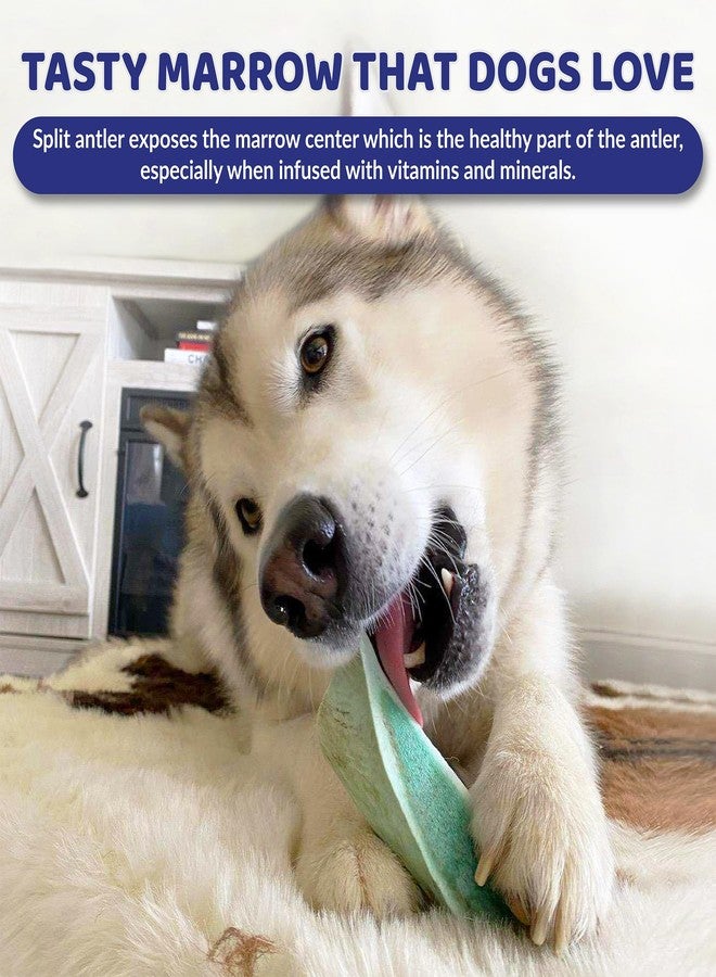 TUKAHO New Vita-Min Split Elk Antlers for Dogs Small to Medium مع الفيتامينات والمعادن لصحة عامة جيدة - مكافآت طبيعية للعناية بأسنان الكلاب (متوسطة) - Image 3