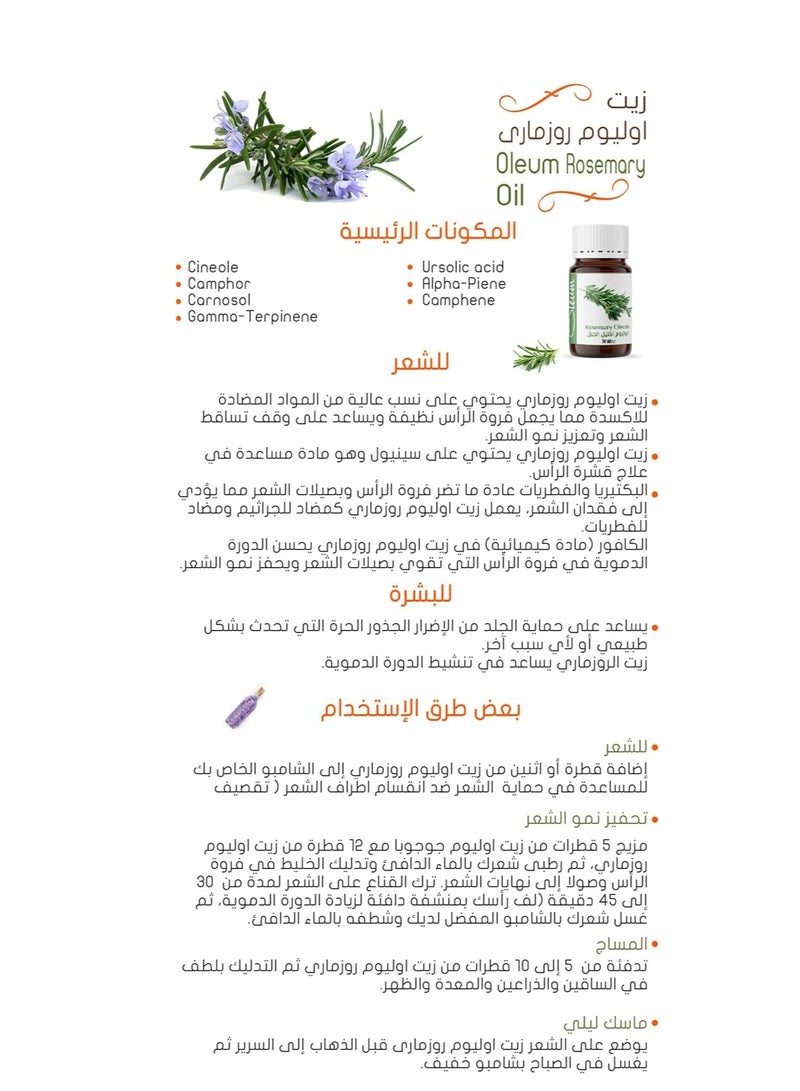 أوليوم زيت إكليل الجبل أوليوم 30 مل - بحجر مطحنة بجودة ممتازة تعزز نمو الشعر - 100% طبيعي ومغذي - Image 2