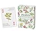 Lingo Plants of Wellness Playing Cards Holistic Healing Plant Power on Every Card - Image 2