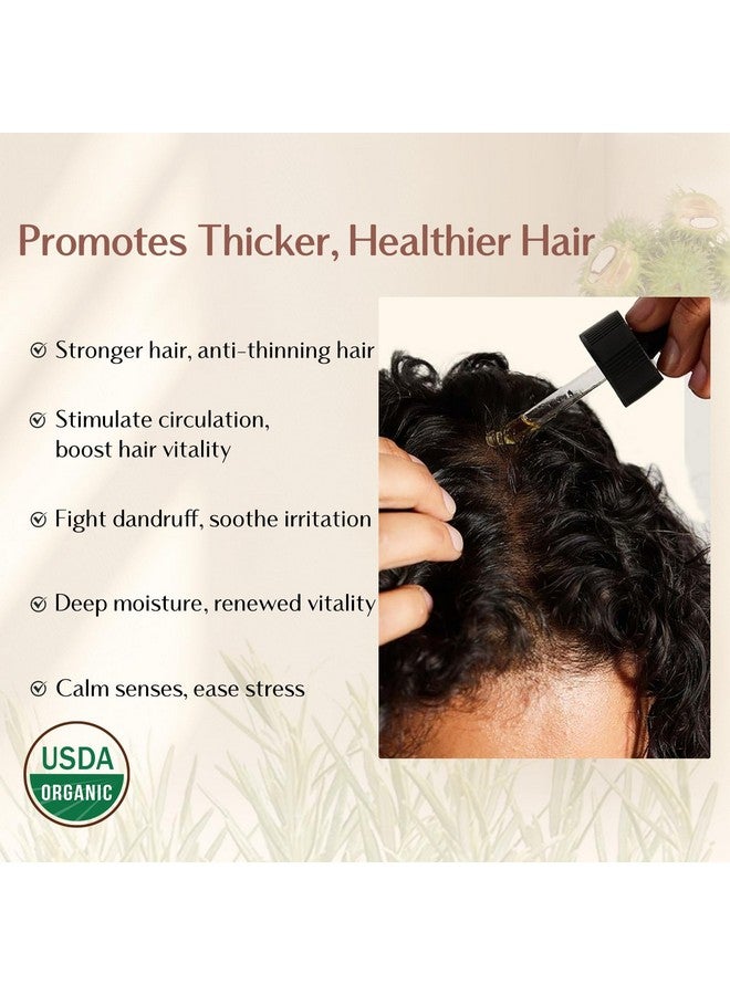 يانيبست زيت إكليل الجبل العطري العضوي من يانيبيست، زيت الخروع، زيت شعر طبيعي نقي 100% لتقوية الشعر وتغذيته وإصلاح الشعر التالف وتحسين صحة فروة الرأس - Image 4