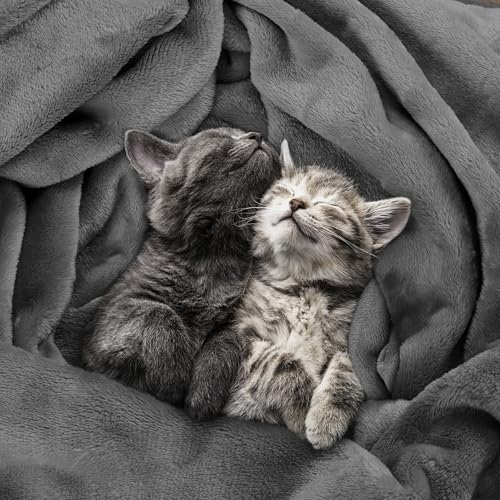 Utopia Bedding Fleece Blanket Throw Size Grey 300GSM Luxury Anti-Static Fuzzy Soft Microfiber Blanket for Couch, Sofa and Bed (60x50 Inch) - Image 4