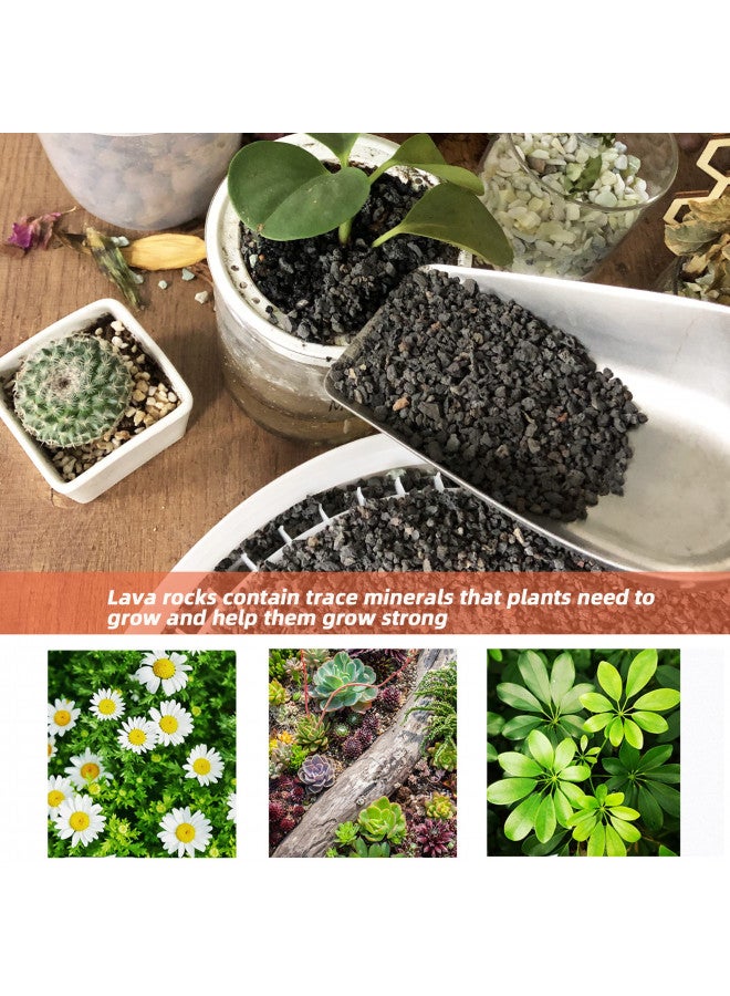 Anothera 18LB Black Horticultural Lava Rock Soil for Decorative Landscaping Bonsai, Cacti, Succulents Plants Top Dressing for Release Excess Water - Image 3